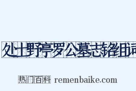 处士野亭罗公墓志铭组词是什么意思的图片
